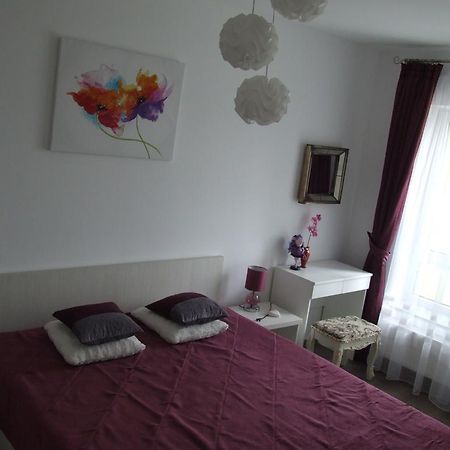 Anca Apartment Braşov Eksteriør billede
