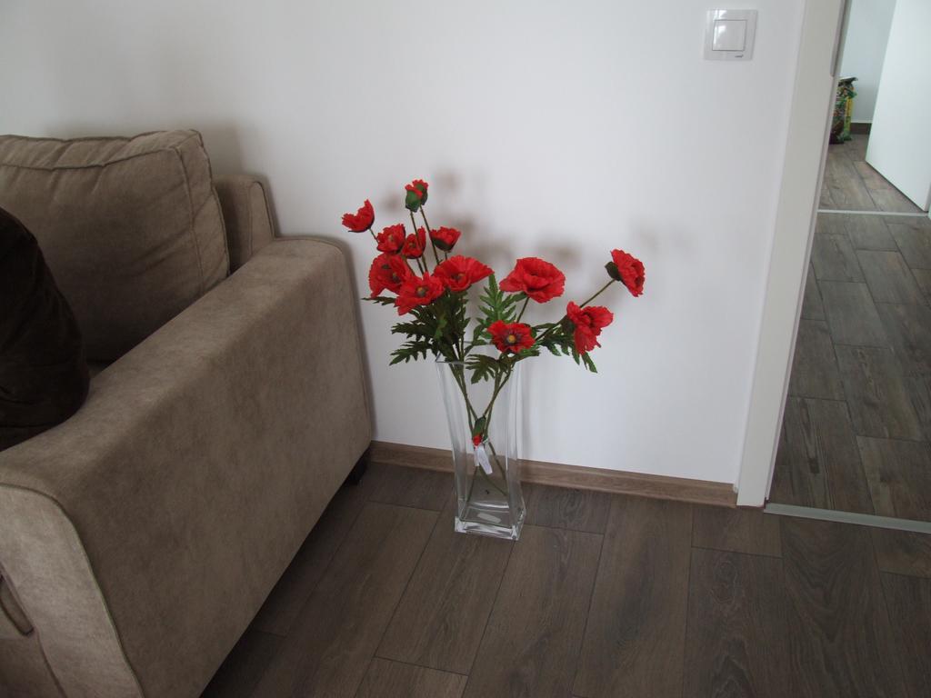 Anca Apartment Braşov Eksteriør billede