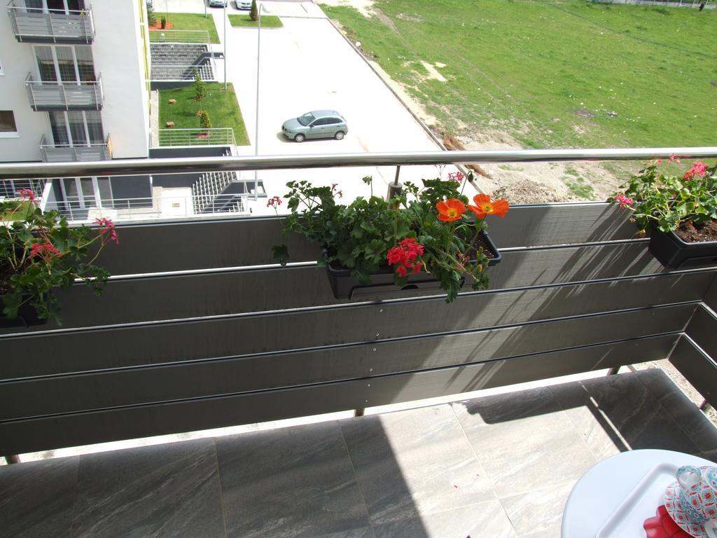 Anca Apartment Braşov Eksteriør billede