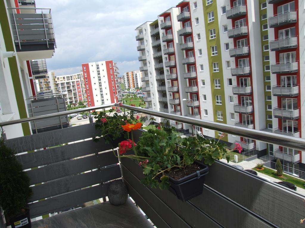 Anca Apartment Braşov Eksteriør billede